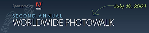 Picture 1.png